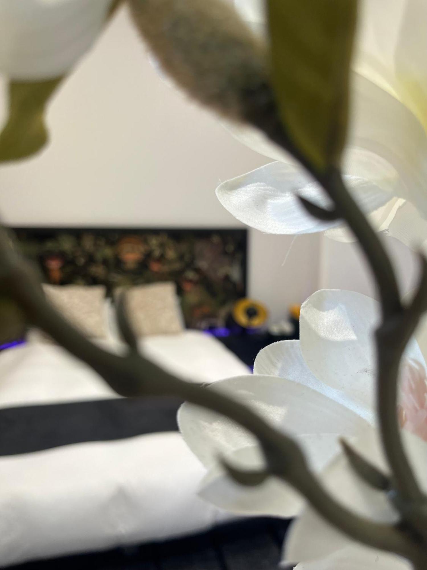 White Castle - Charleroi Airport B&B 외부 사진